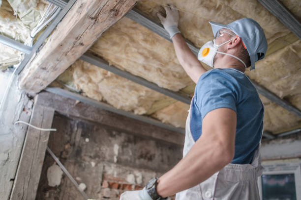 Best Affordable Insulation Services  in Ethete, WY